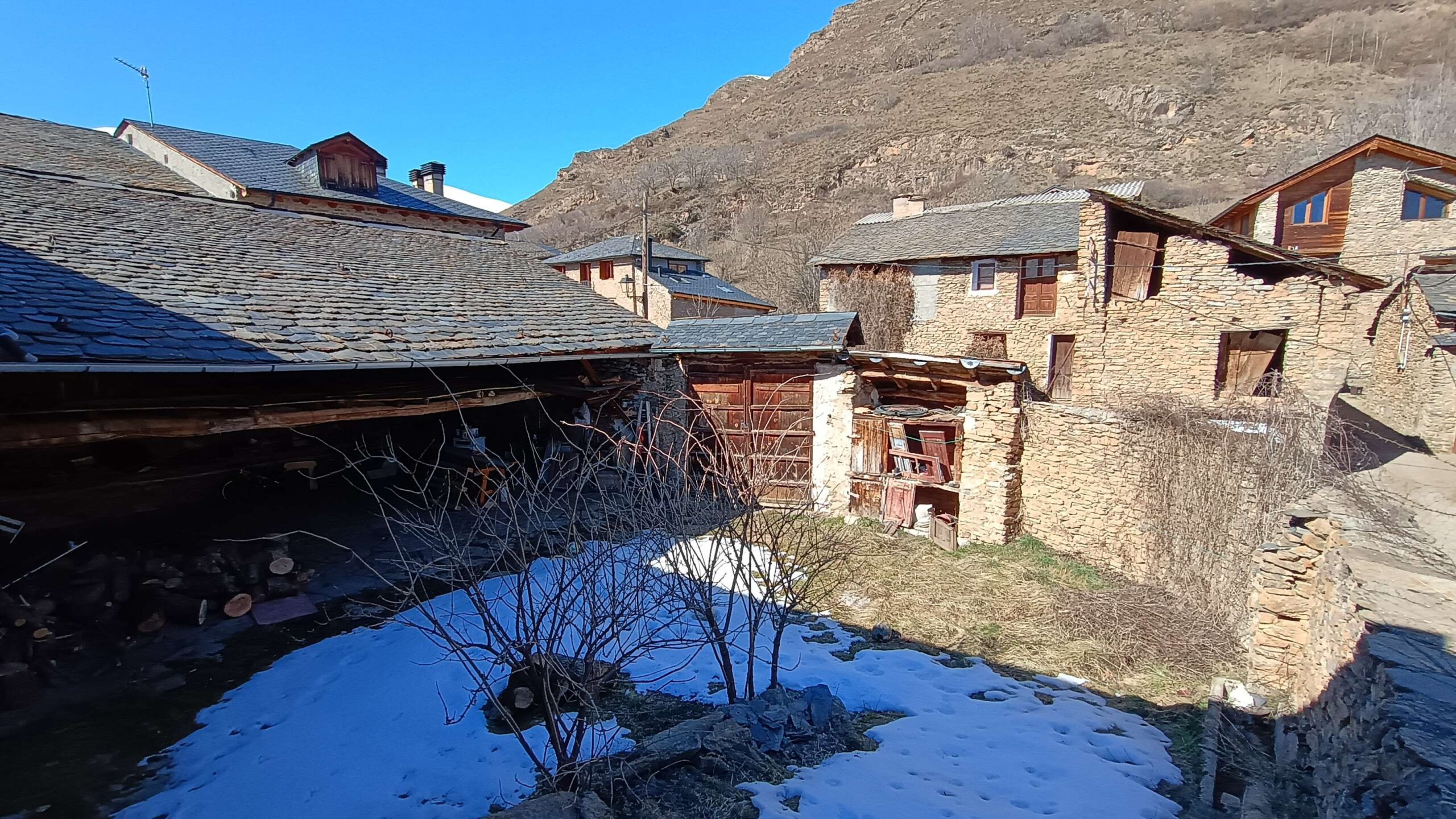 IMG_20260221_125604850