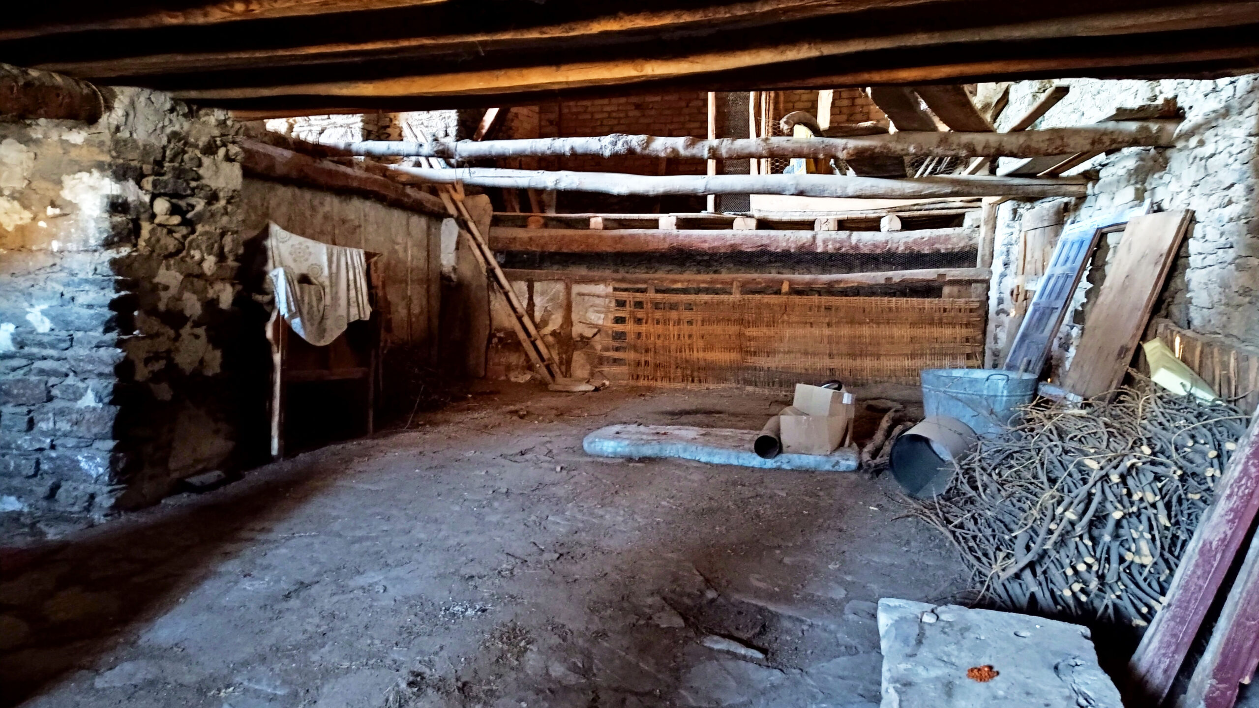 IMG_20260221_131359959