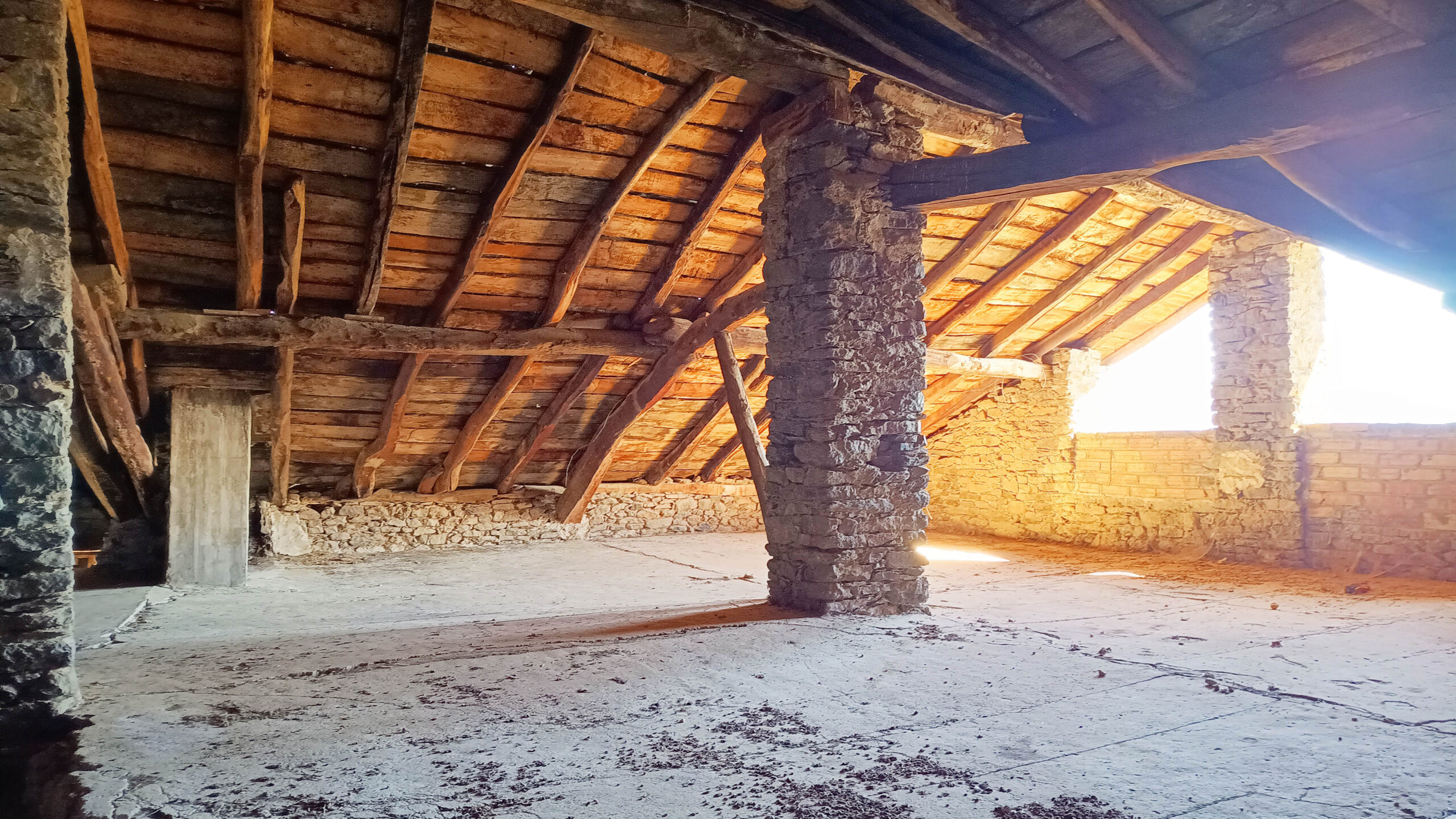 IMG_20260221_131548697_HDR