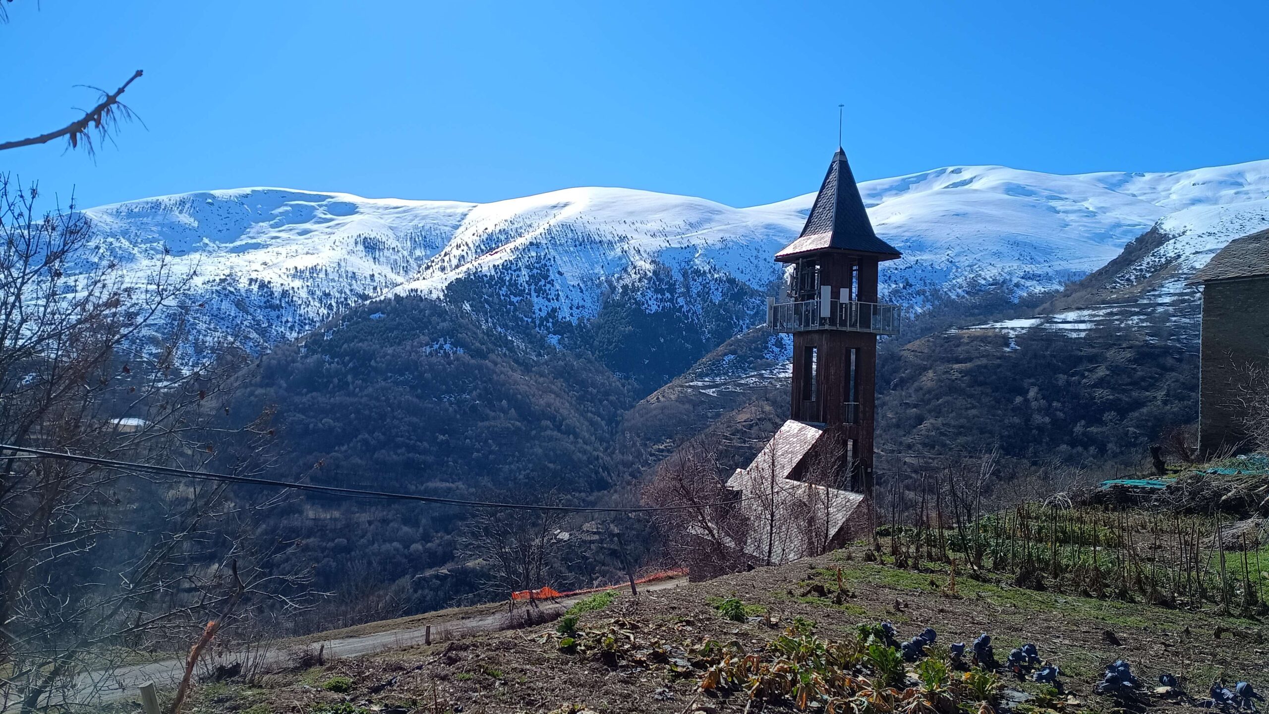 IMG_20260221_132931717