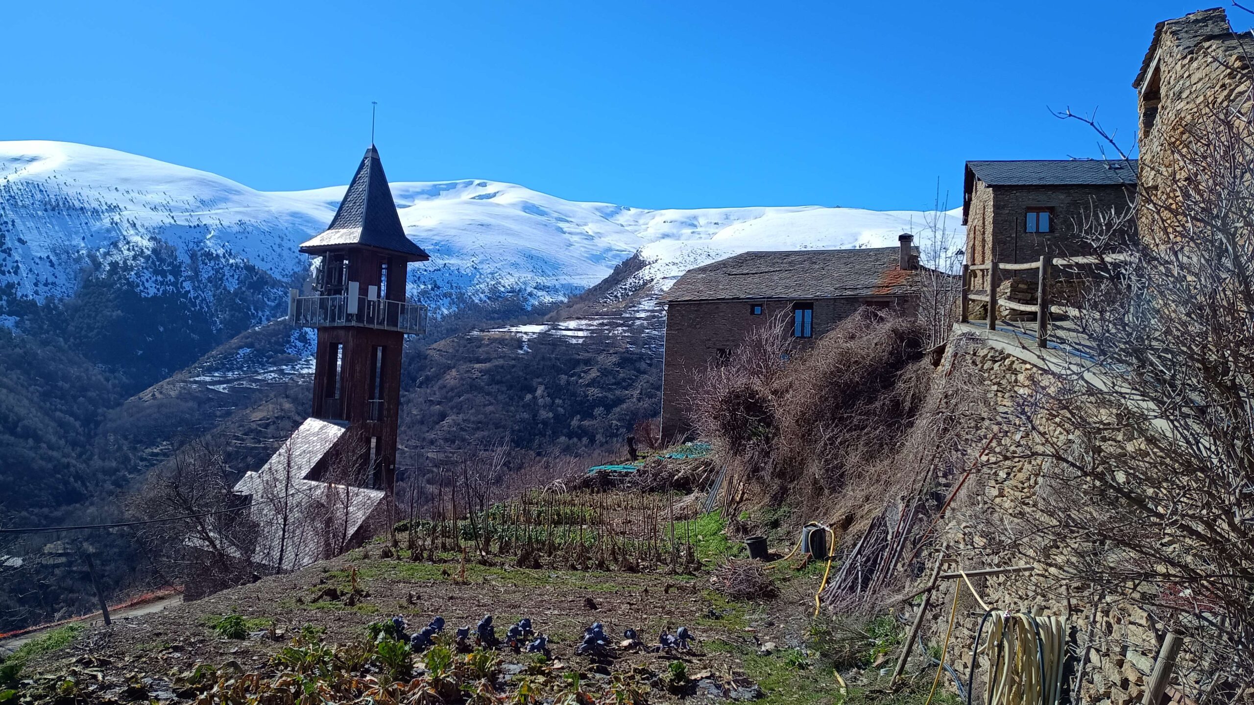 IMG_20260221_132934021