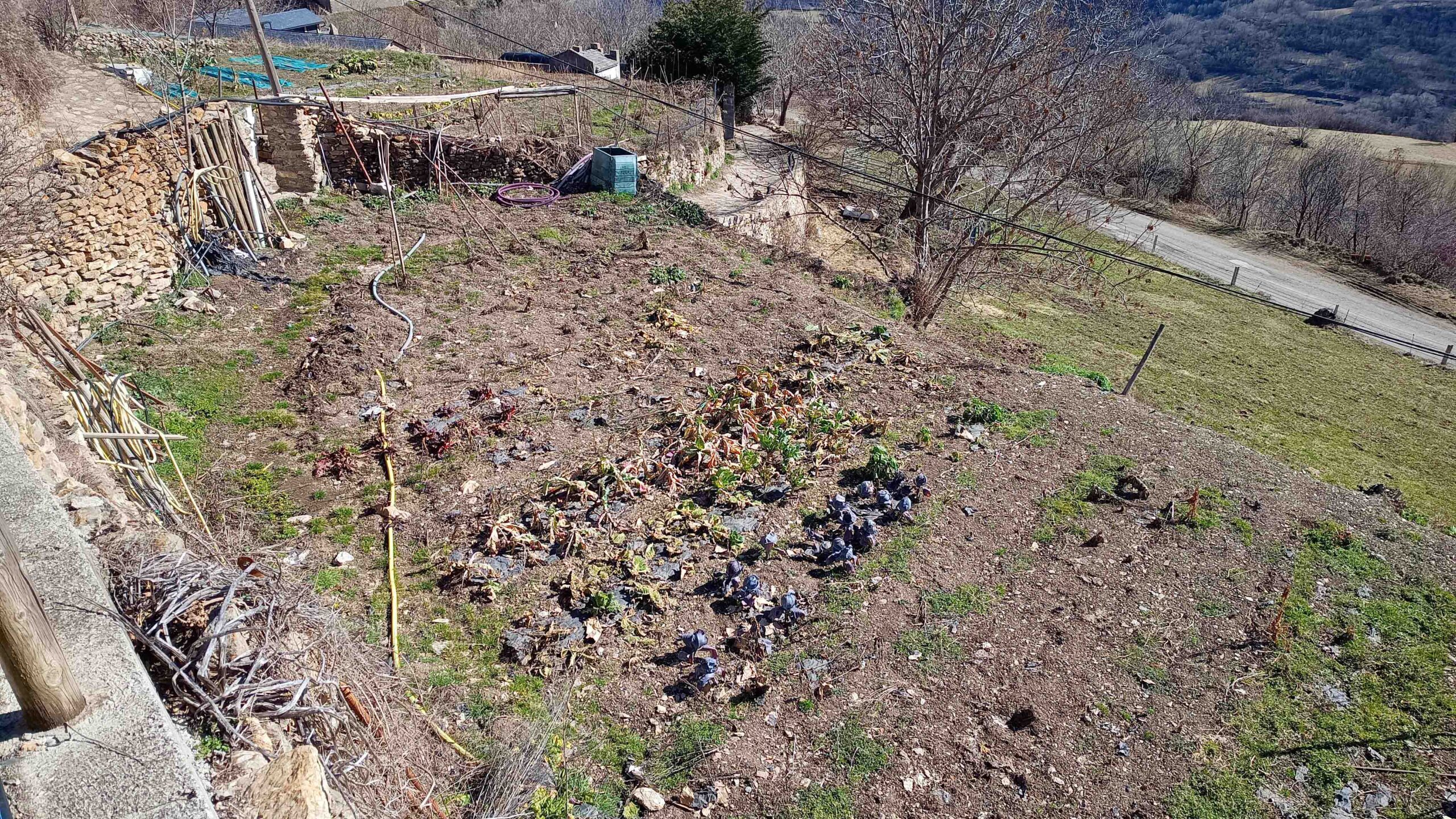 IMG_20260221_133047339