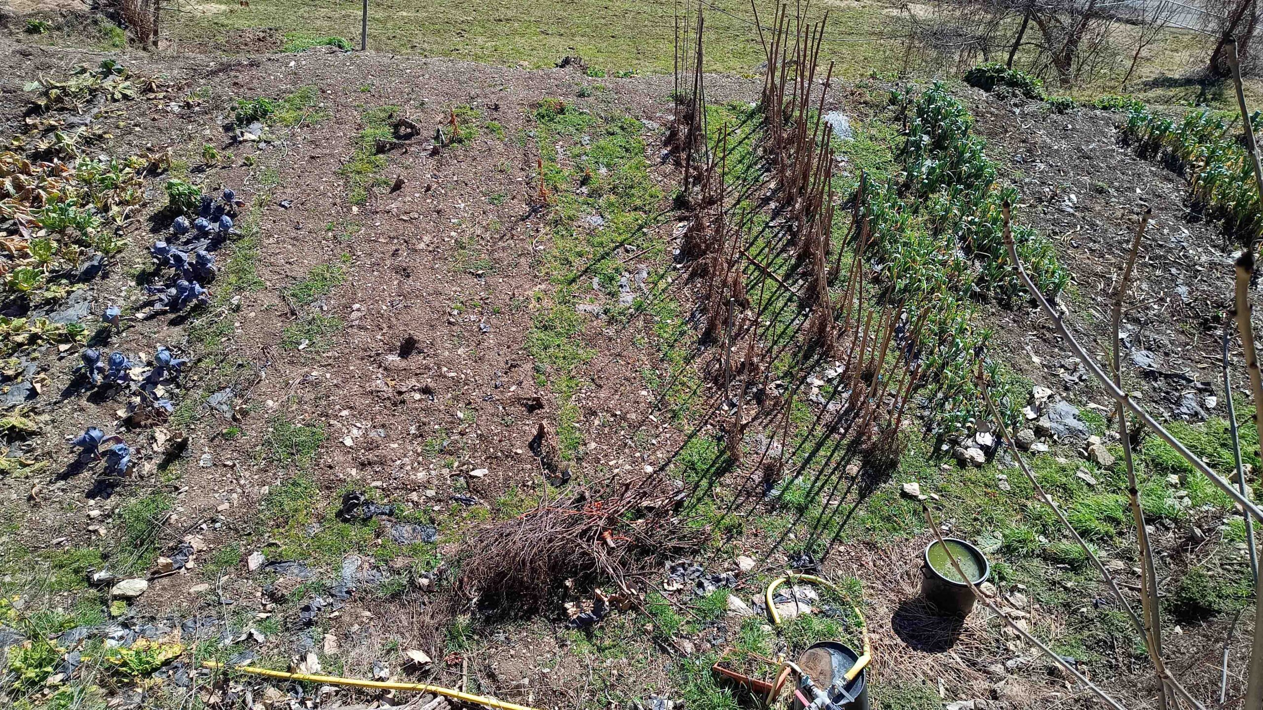 IMG_20260221_133050953