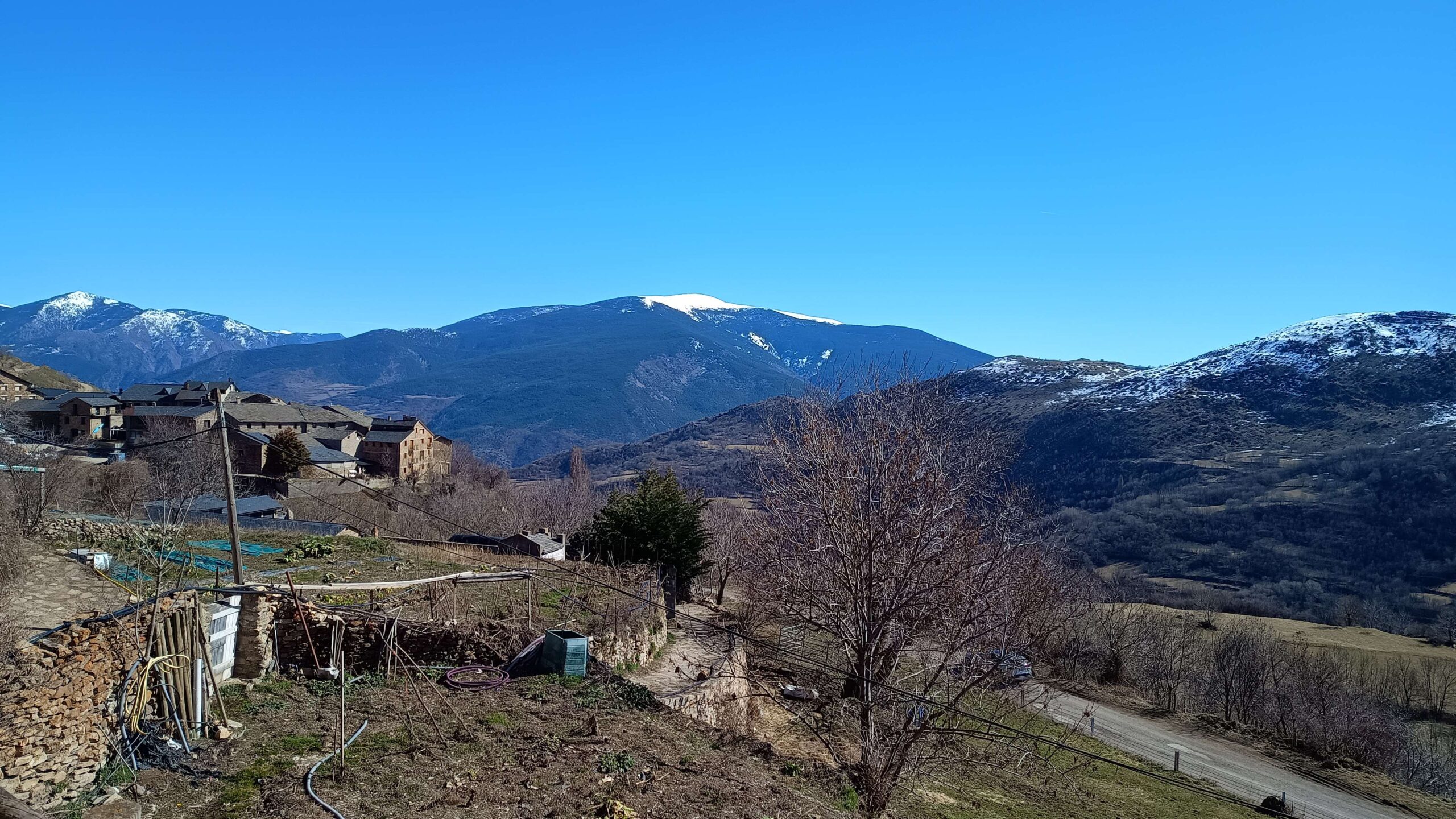 IMG_20260221_133207260